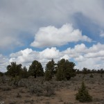 Eastern Oregon Scenery